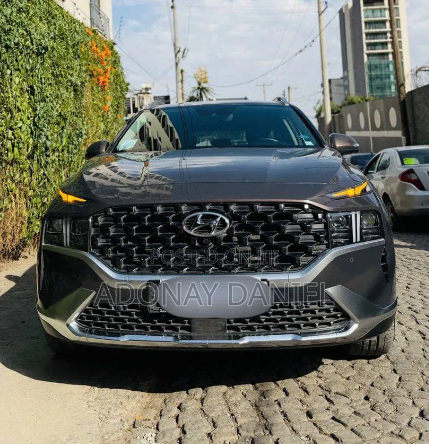 Hyundai Santa Fe 2024 Gray