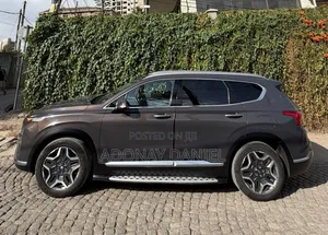 Hyundai Santa Fe 2024 Gray