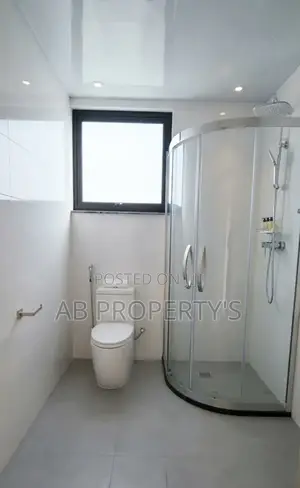 Furnished 3bdrm Apartment in Bole Harmony for sale