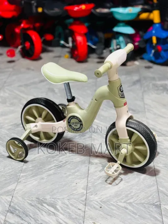 2-in-1 Luxury Balance Bike Tricycle