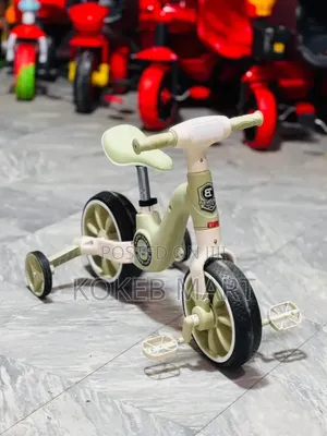2-in-1 Luxury Balance Bike Tricycle
