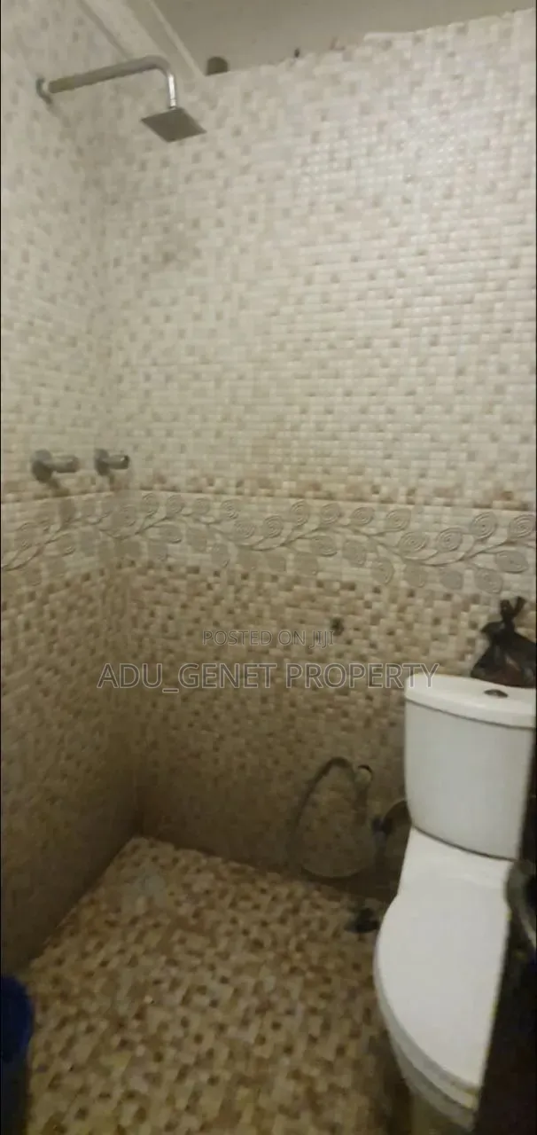 Furnished 3bdrm Condo in Abado Condo, Yeka for sale