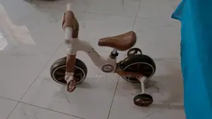 Adjustable Seat and Removable Pedals
