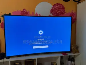 Samsung 55 Inch Tv