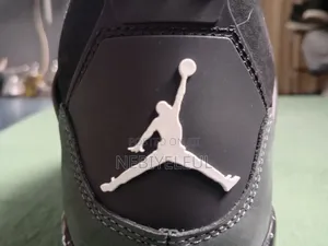 Air Jordan 4 Retro Fear