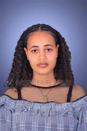 Accountant