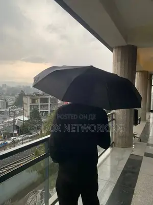 Men's Umbrella (Top Orginal)