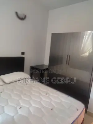 Furnished 1bdrm Apartment in Studio Fernished, Bole for rent