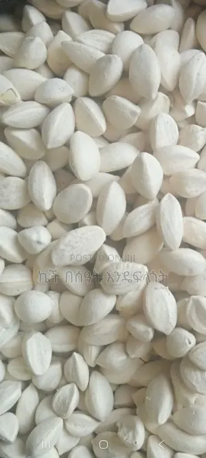 Moringa Seed