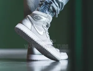 Nike Air Jordan 1 High Co.Jp "Neutral Grey"