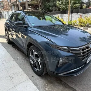 Hyundai Tucson 2021 Gray