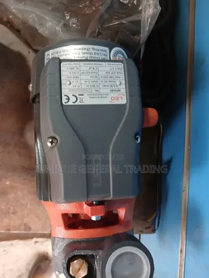 Leo Water Pump