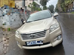 Toyota RAV4 2010 Gold