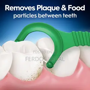 Oral B Floss Pick