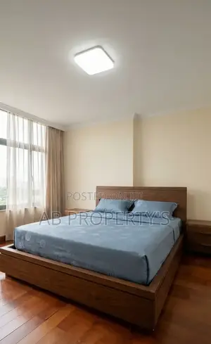 Furnished 3bdrm Apartment in Bole Atlas for sale