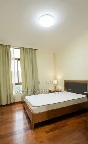 Furnished 3bdrm Apartment in Bole Atlas for sale