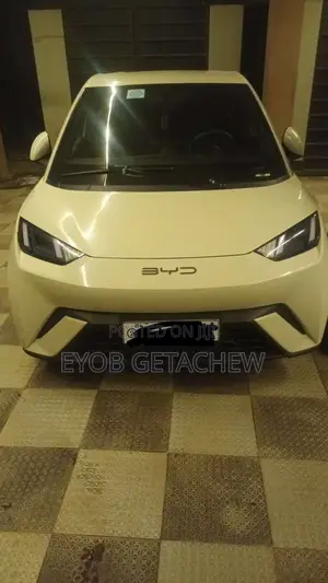 BYD Seagull 2024 White