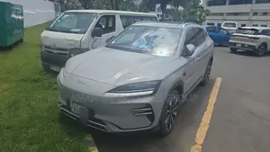BYD Song Plus 2024 Beige