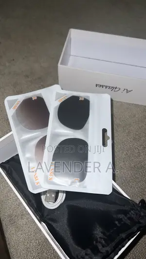 Ai Meta Glasses