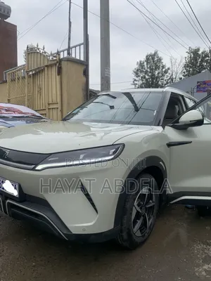 BYD Yuan Up 2024 White