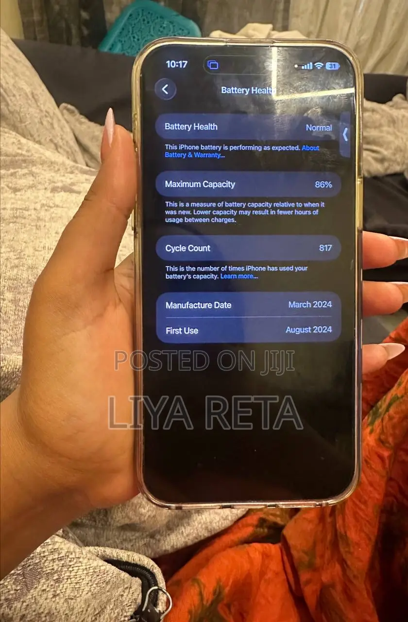 Apple iPhone 15 Pro Max 256 GB Gray