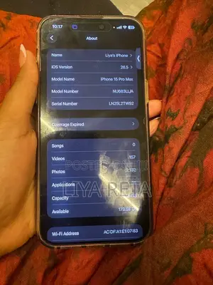 Apple iPhone 15 Pro Max 256 GB Gray