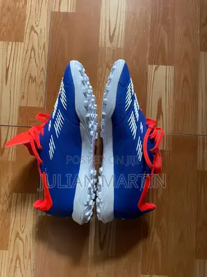 Adidas Predator Line.