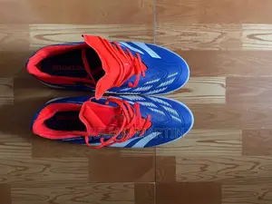 Adidas Predator Line.