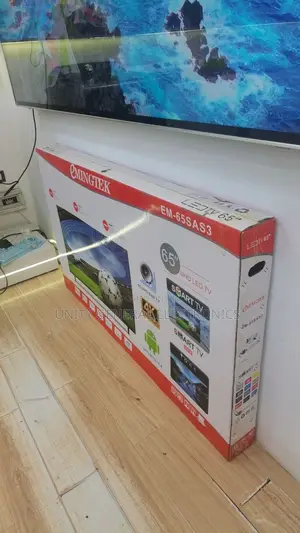 Emingtek Tv 65”