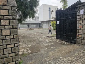 ሙሉ ግቢ የሚከራይ።