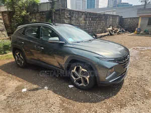 Hyundai Tucson 2023 Gray