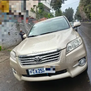 Toyota RAV4 2010 Gold