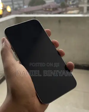 Apple iPhone 15 Pro Max 256 GB Silver