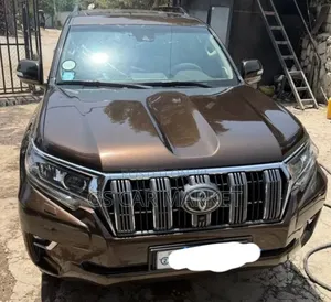 Toyota Land Cruiser Prado 2022 Brown
