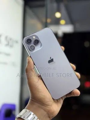 Apple iPhone 12 Pro Max 256 GB Gray