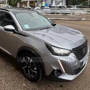 Peugeot 2008 2022 Gray