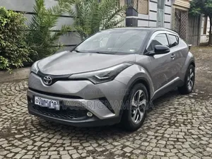 Toyota C-HR 2020 Gray