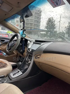 Hyundai Elantra 2013 Gray