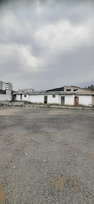 4bdrm House in Feyl Bet, Bole for rent