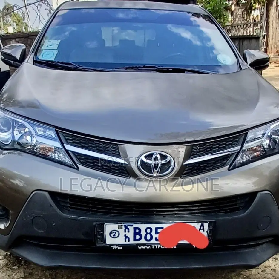 Toyota RAV4 2013 Brown