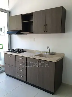 ዘመናዊ የግድግዳ Kitchen Cabinet