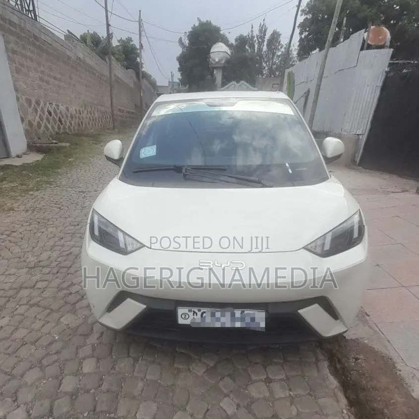 BYD Seagull 2024 White