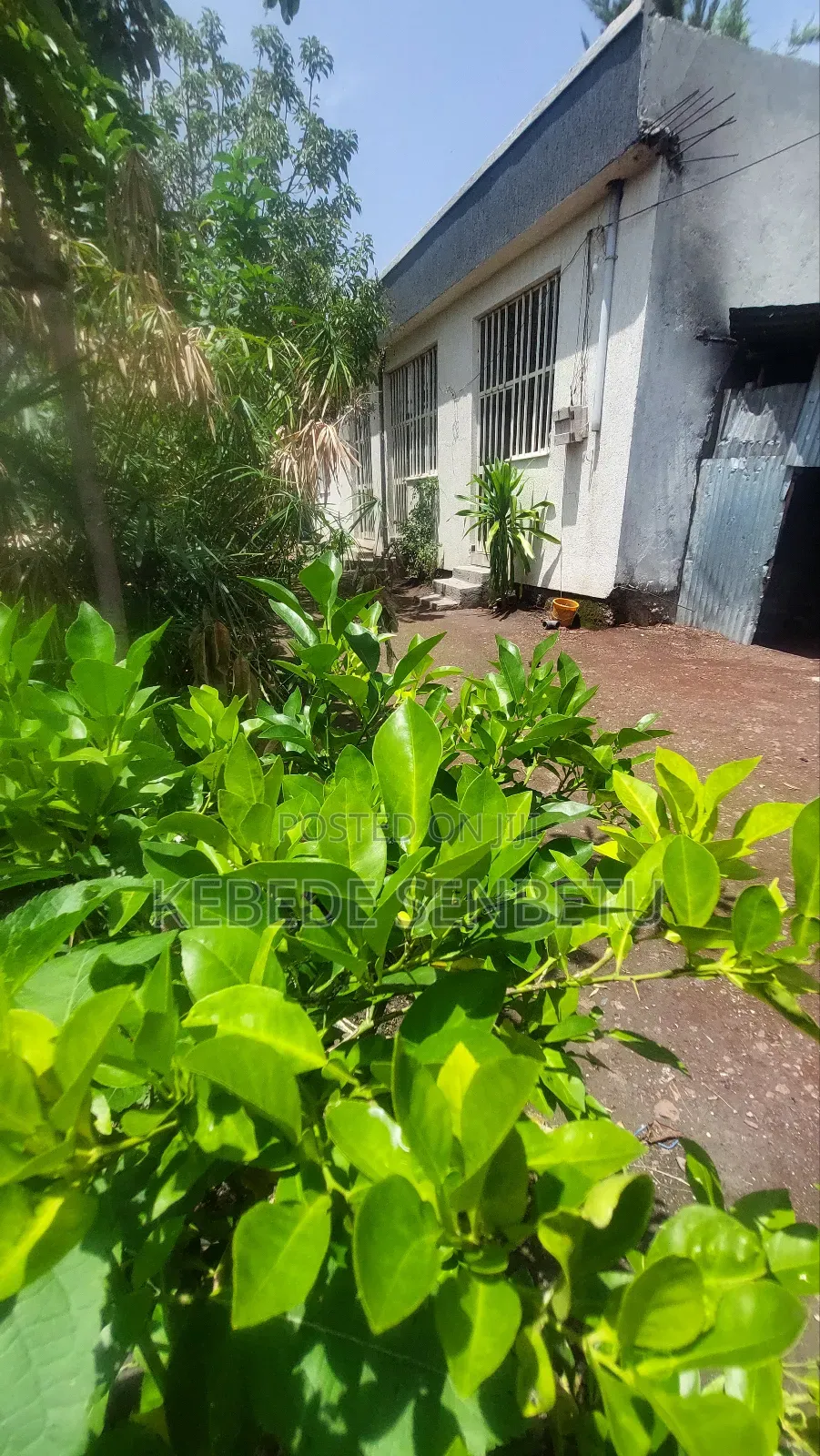 4bdrm House in Oromia, East Shewa for rent