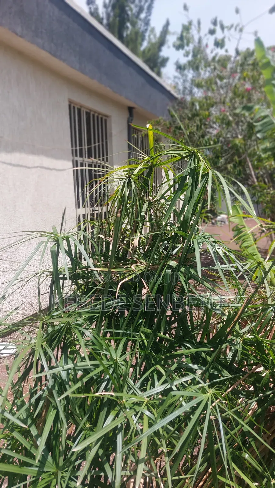 4bdrm House in Oromia, East Shewa for rent