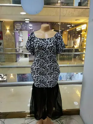 Elegant Dress