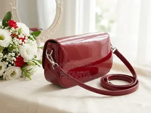 Stylish Handbag
