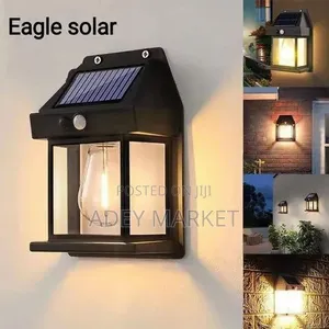 Solar Induction Wall Lamp.