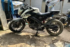 Indian 2018 White