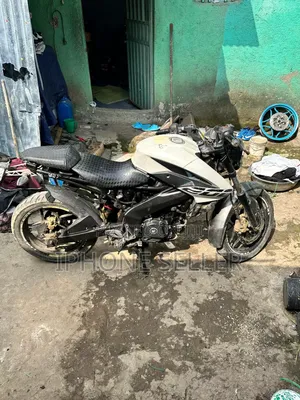 Indian 2018 White