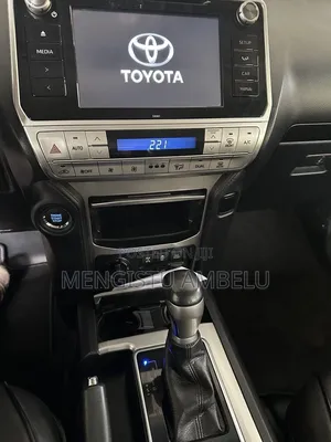 Toyota Land Cruiser 2020 Gray